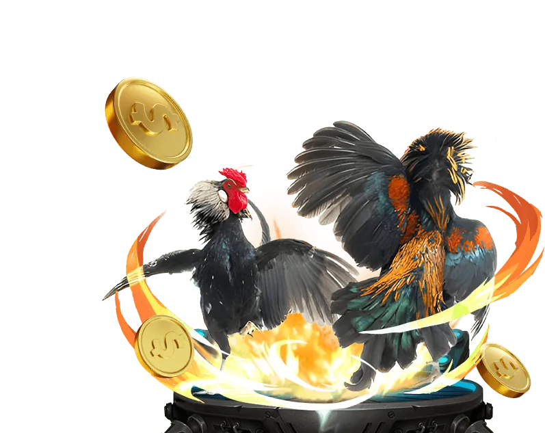 Hình ảnh thể hiện cam kết của Kèo BD M88 về cá cược có trách nhiệm và sự công bằng