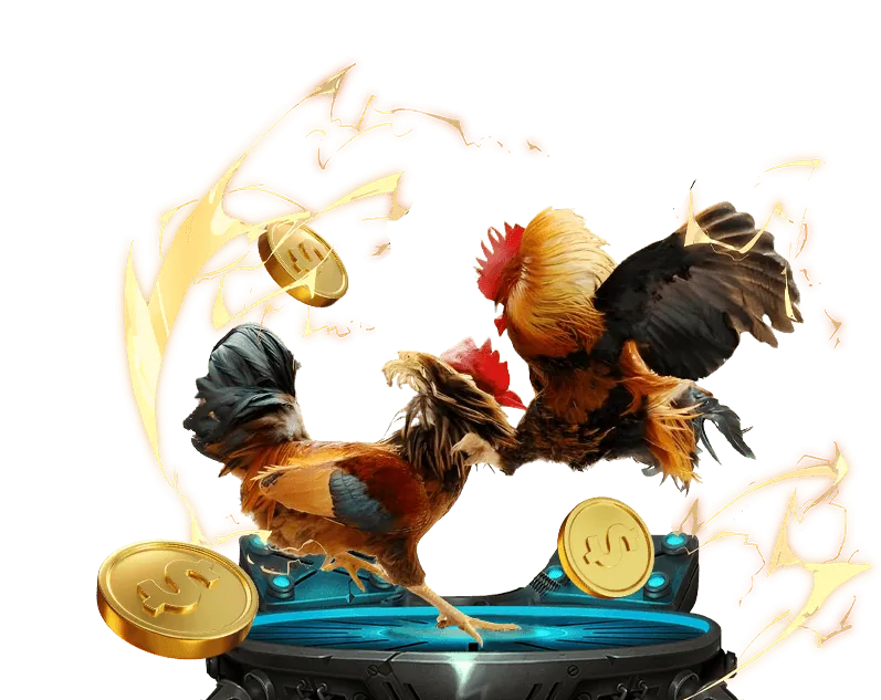 Hình ảnh minh họa kèo Châu Âu